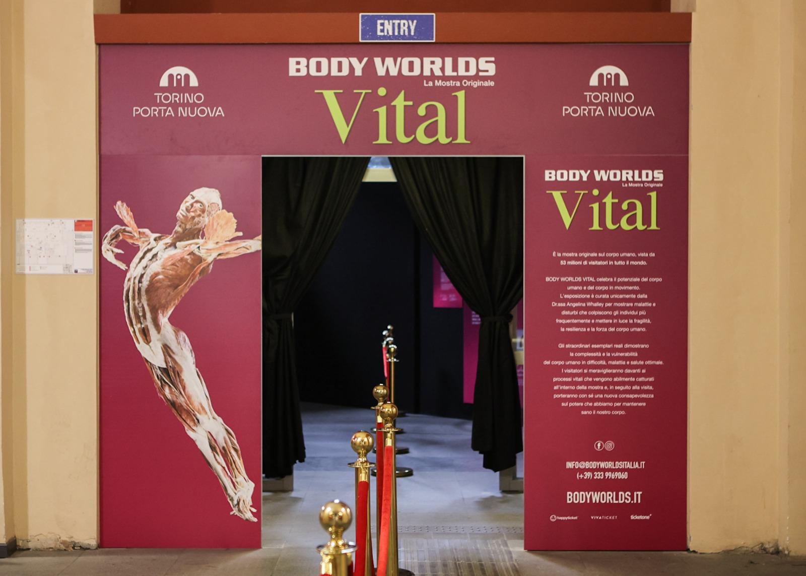 Body Worlds: Vital ora a Torino